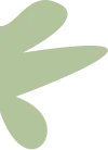 vector